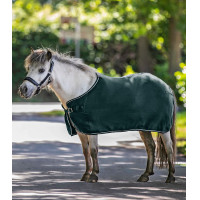 Coperta in pile Waldhausen Economic Verde abete