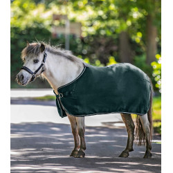 Coperta in pile Waldhausen Economic Verde abete