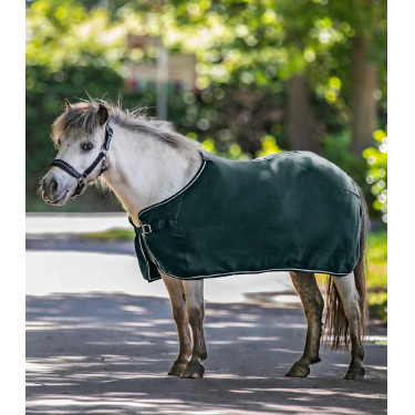 Coperta in pile Waldhausen Economic Verde abete