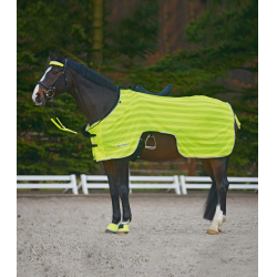 Copricrupper da equitazione Waldhausen Reflex