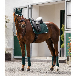 Cuffia anti mosche Waldhausen Competition Verde abete
