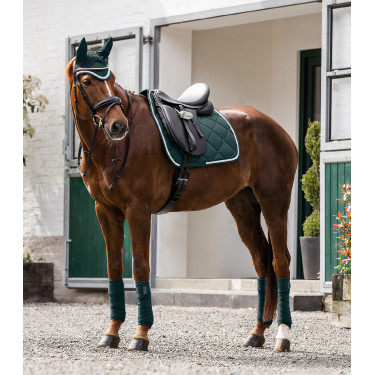 Cuffia anti mosche Waldhausen Competition Verde abete
