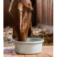 Mangiatoia XL con coperchio Waldhausen Grigio