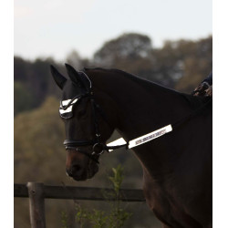 Set riflettente Waldhausen per testiere Reflex Grigio argento