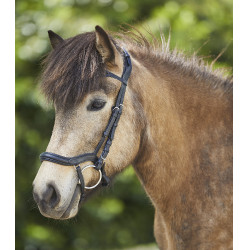 Filet anatomico Waldhausen Island Nero / argento