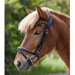 Filet Waldhausen Island Rose Nero / oro rosa Filet Waldhausen Island Rose Nero / oro rosa