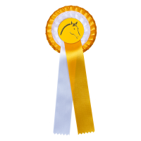 Flot Waldhausen premiazione doppia coccarda Oro