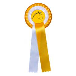 Flot Waldhausen premiazione doppia coccarda Oro