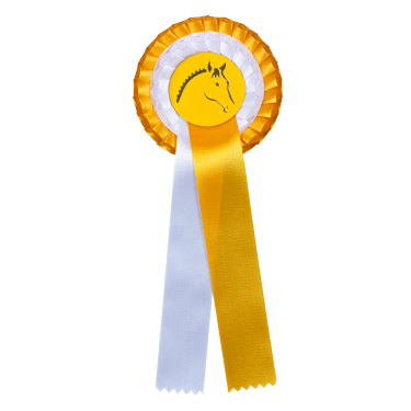 Flot Waldhausen premiazione doppia coccarda Oro