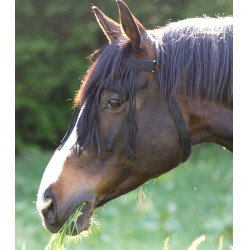 Frontal antimosche autonomo Waldhausen Nero