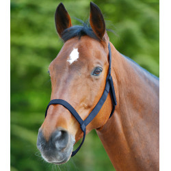 Capezza da pascolo Waldhausen Blu notte