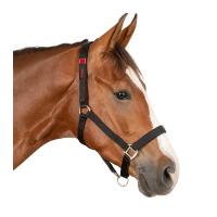 Capestro di sicurezza Waldhausen Nero