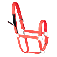 Capestro di sicurezza Waldhausen Nero