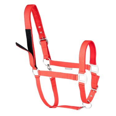 Capestro di sicurezza Waldhausen Rosso Capestro di sicurezza Waldhausen Rosso