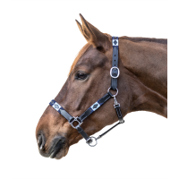 Capezzina in cuoio Waldhausen Polo Nero