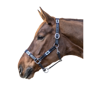 Capezzina in cuoio Waldhausen Polo Nero