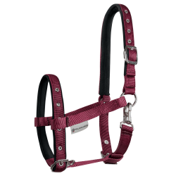 Cavezzale Puledro Waldhausen Confort Bordeaux