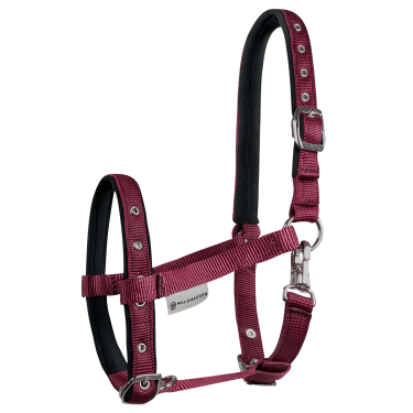 Cavezzale Puledro Waldhausen Confort Bordeaux