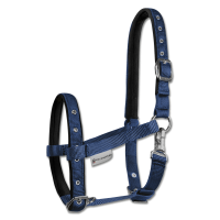 Cavezzale Puledro Waldhausen Confort Blu scuro
