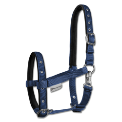 Cavezzale Puledro Waldhausen Confort Blu scuro