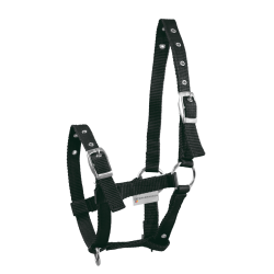 Capestro per puledro Waldhausen Triple