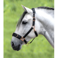 Licol pour longé Waldhausen Rosé Nero Licol pour longé Waldhausen Rosé Nero