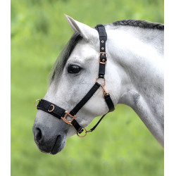 Licol pour longé Waldhausen Rosé Nero