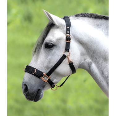 Licol pour longé Waldhausen Rosé Nero