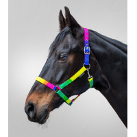 Capezzina Waldhausen Arcobaleno Neon multicolore Capezzina Waldhausen Arcobaleno Neon multicolore