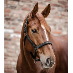 Capezzina Waldhausen Athletic Nero