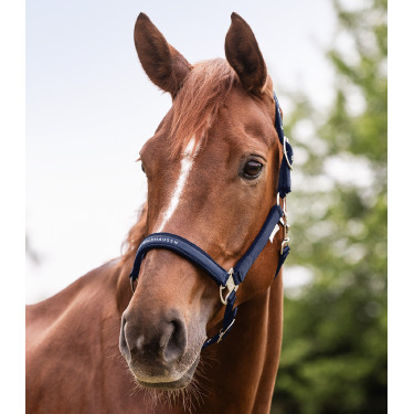 Capezzina Waldhausen Athletic Blu notte