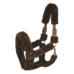 Capestro Waldhausen Cozy Marrone / oro