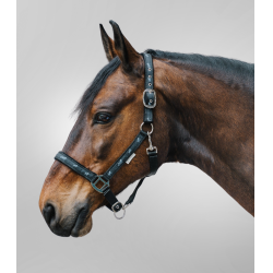 Capestro Waldhausen déco Cavallini Nero Capestro Waldhausen déco Cavallini Nero