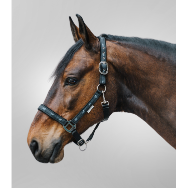 Capestro Waldhausen déco Cavallini Nero Capestro Waldhausen déco Cavallini Nero