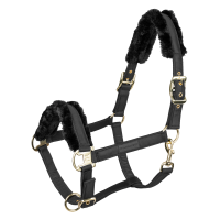 Cavezza Waldhausen Exclusive
