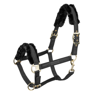 Cavezza Waldhausen Exclusive