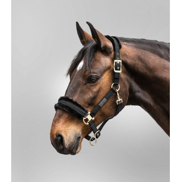 Cavezza Waldhausen Exclusive Nero / nero