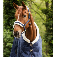 Cavezza Waldhausen Exclusive Blu notte / beige