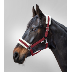 Capezzina Waldhausen First Bordeaux