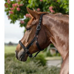 Capezzina Waldhausen Gloomy Nero