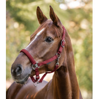 Capezzina Waldhausen Gloomy Bordeaux