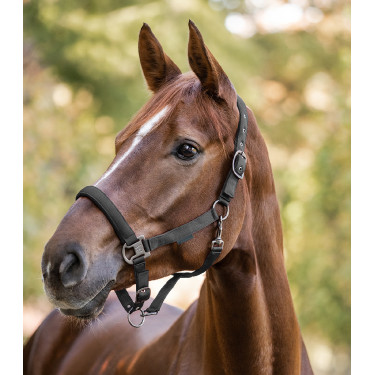 Capezzina Waldhausen Gloomy Grigio granito Capezzina Waldhausen Gloomy Grigio granito