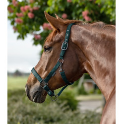 Capezzina Waldhausen Gloomy Verde abete