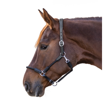 Capezzina Waldhausen Nevada Nero / argento