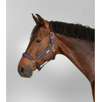 Capezzina Waldhausen Rosé Blu notte