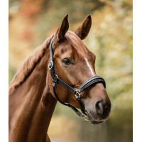 Capezza Waldhausen S-Line in cuoio Glamour Nero