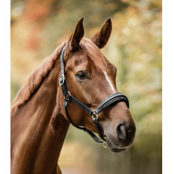 Capezza Waldhausen S-Line in cuoio Glamour Nero Capezza Waldhausen S-Line in cuoio Glamour Nero