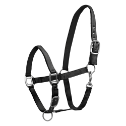 Capestro Waldhausen Satin