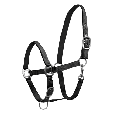 Capestro Waldhausen Satin