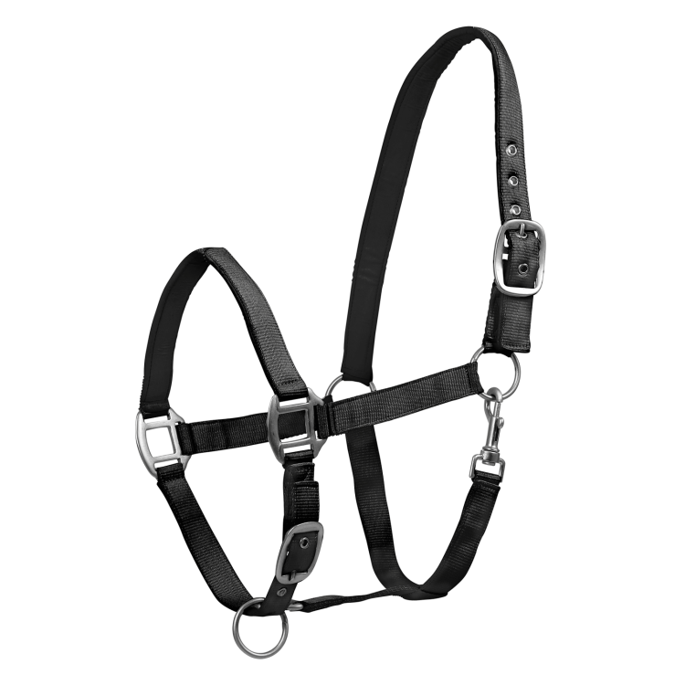 Capestro Waldhausen Satin
